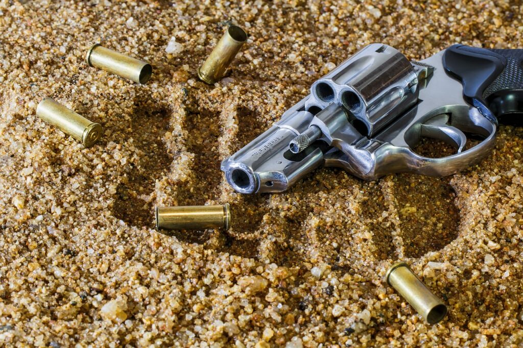 fire arms market